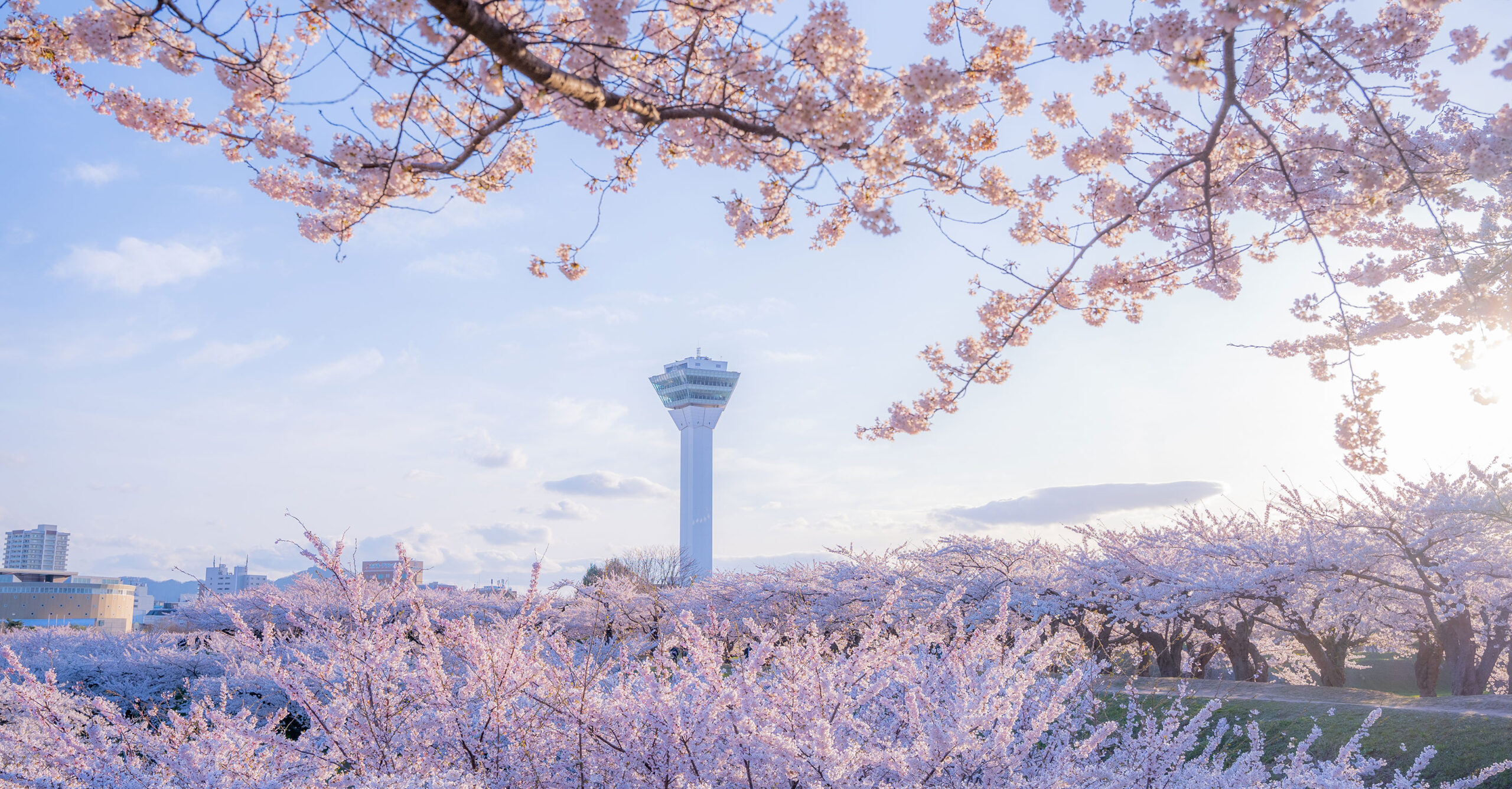 ツーリスト道南 - 北海道旅行ほか